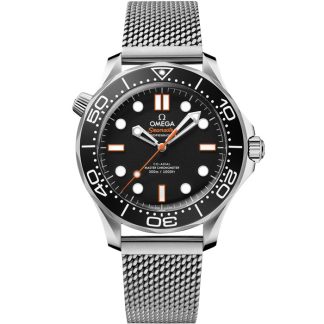 Omega New Seamaster Diver 300M 42 mm, steel on steel 210.30.42.20.01.018