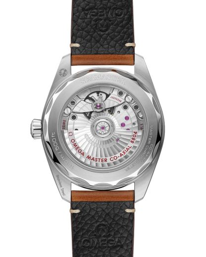 Omega New Seamaster Railmaster 38 mm, steel on leather strap 235.12.38.20.13.001 - Image 2