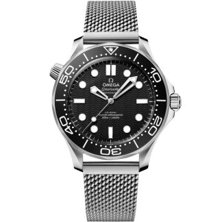 Omega Seamaster Diver 300M 42 mm, steel on steel 210.30.42.20.01.010