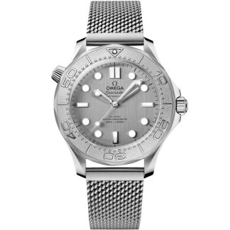 Omega Seamaster Diver 300M 42 mm, steel on steel 210.30.42.20.06.002