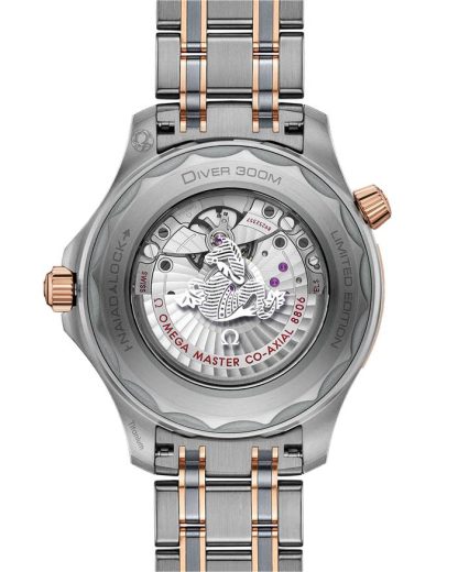 Omega Seamaster Diver 300M 42 mm, titanium - tantalum - Sedna™ gold on titanium - tantalum - Sedna™ gold 210.60.42.20.99.001 - Image 2